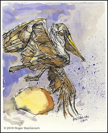 Pelican 1 by Roger Bacharach copyright 2019